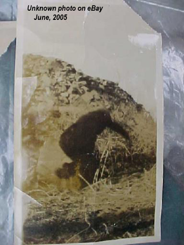 Bigfoot -fotografia nieznanego pochodzenia znaleziona na aukcji eBay